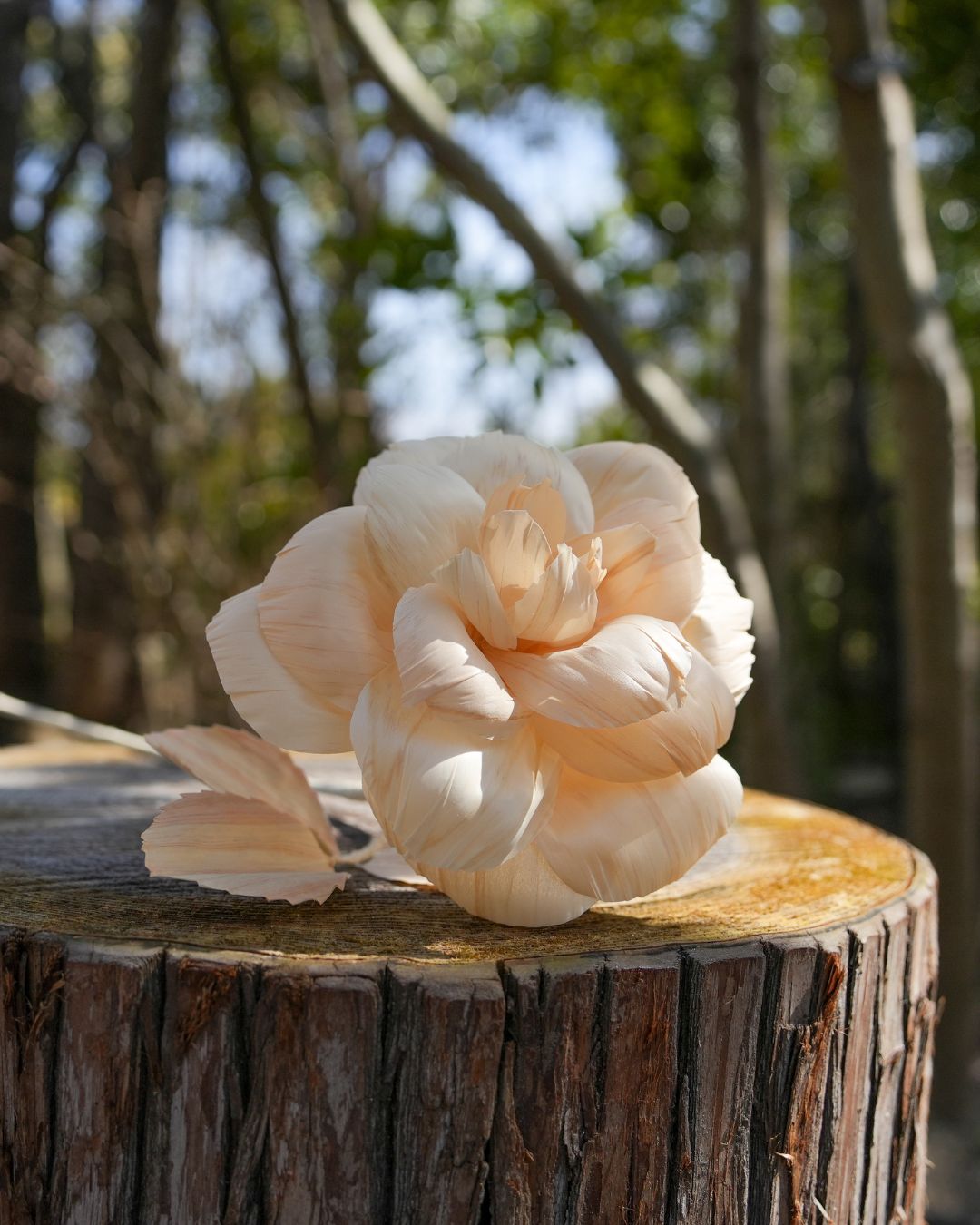 木の表情を、そのまま花に。